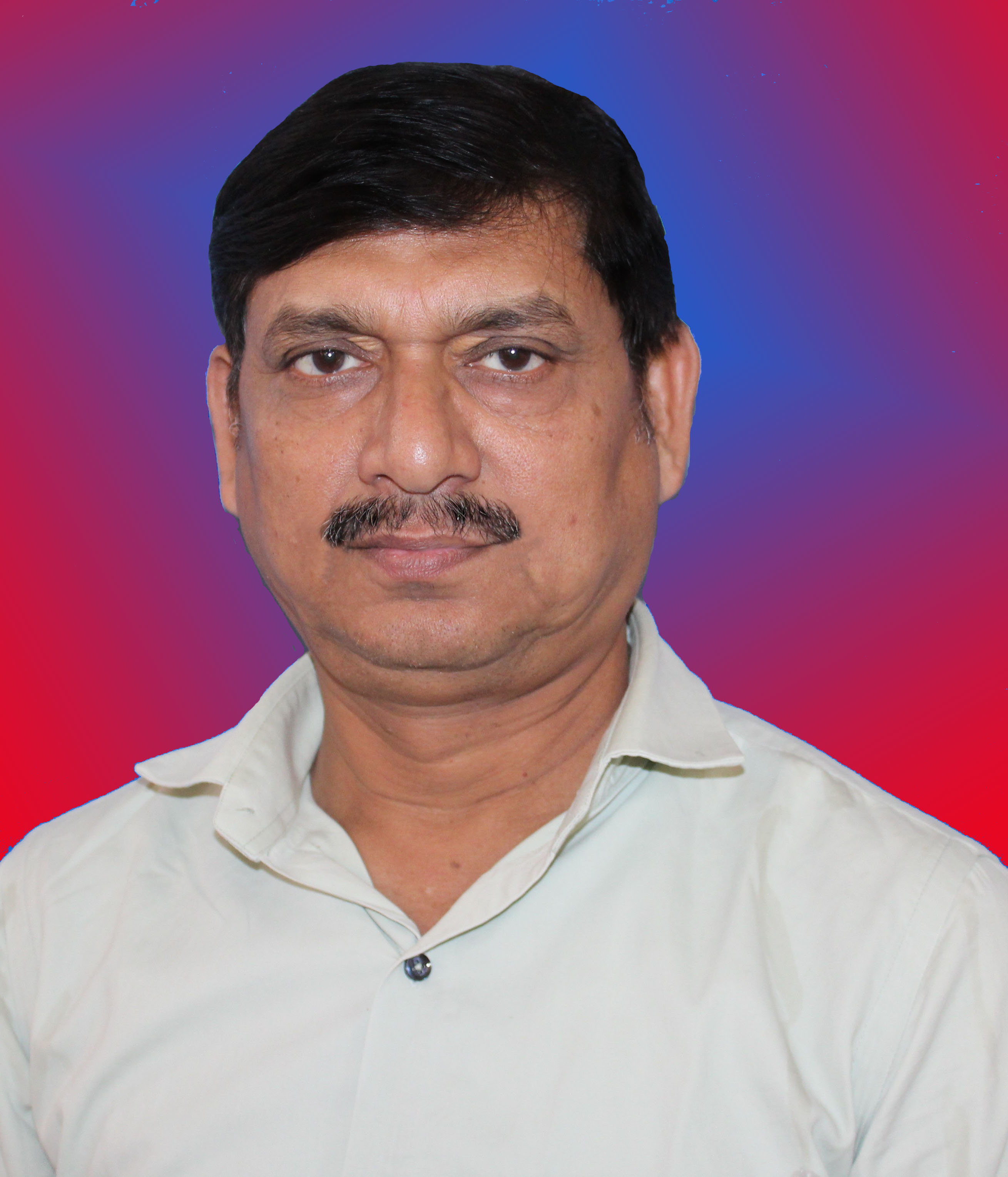 Teacher in Navyug Vidyalaya, Bhagalpur