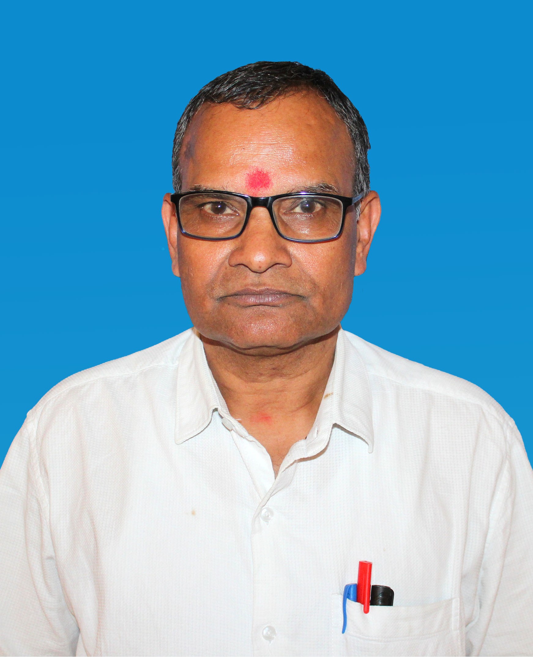 Teacher in Navyug Vidyalaya, Bhagalpur